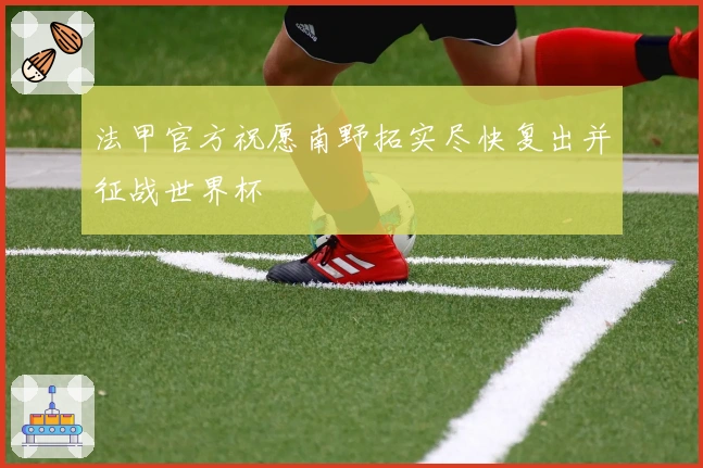 法甲官方祝愿南野拓实尽快复出并征战世界杯