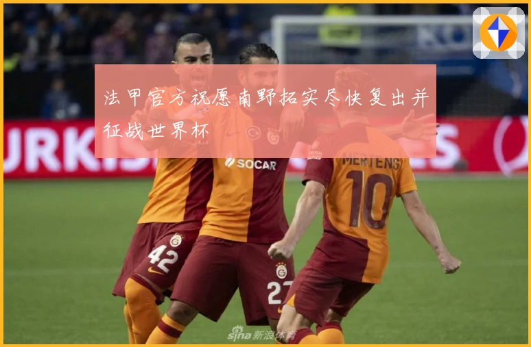 法甲官方祝愿南野拓实尽快复出并征战世界杯