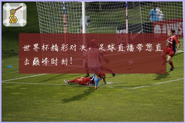 世界杯精彩对决，足球直播带您直击巅峰时刻！