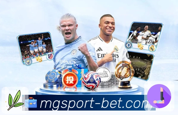 扫码进入<strong>满冠体育</strong>赛事大厅